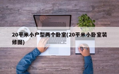 20平米小户型两个卧室(20平米小卧室装修图)