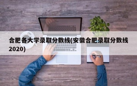 合肥各大学录取分数线(安徽合肥录取分数线2020)