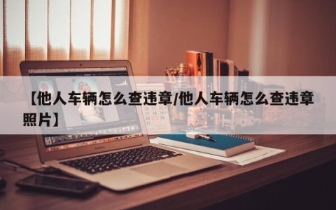 【他人车辆怎么查违章/他人车辆怎么查违章照片】