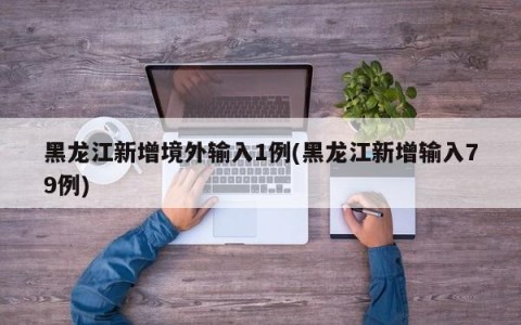 黑龙江新增境外输入1例(黑龙江新增输入79例)